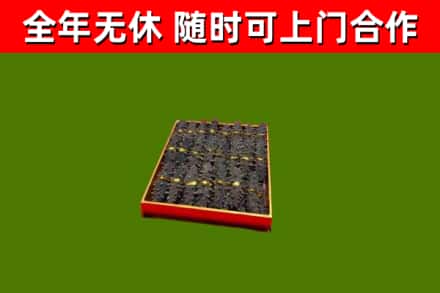 温泉回收海参